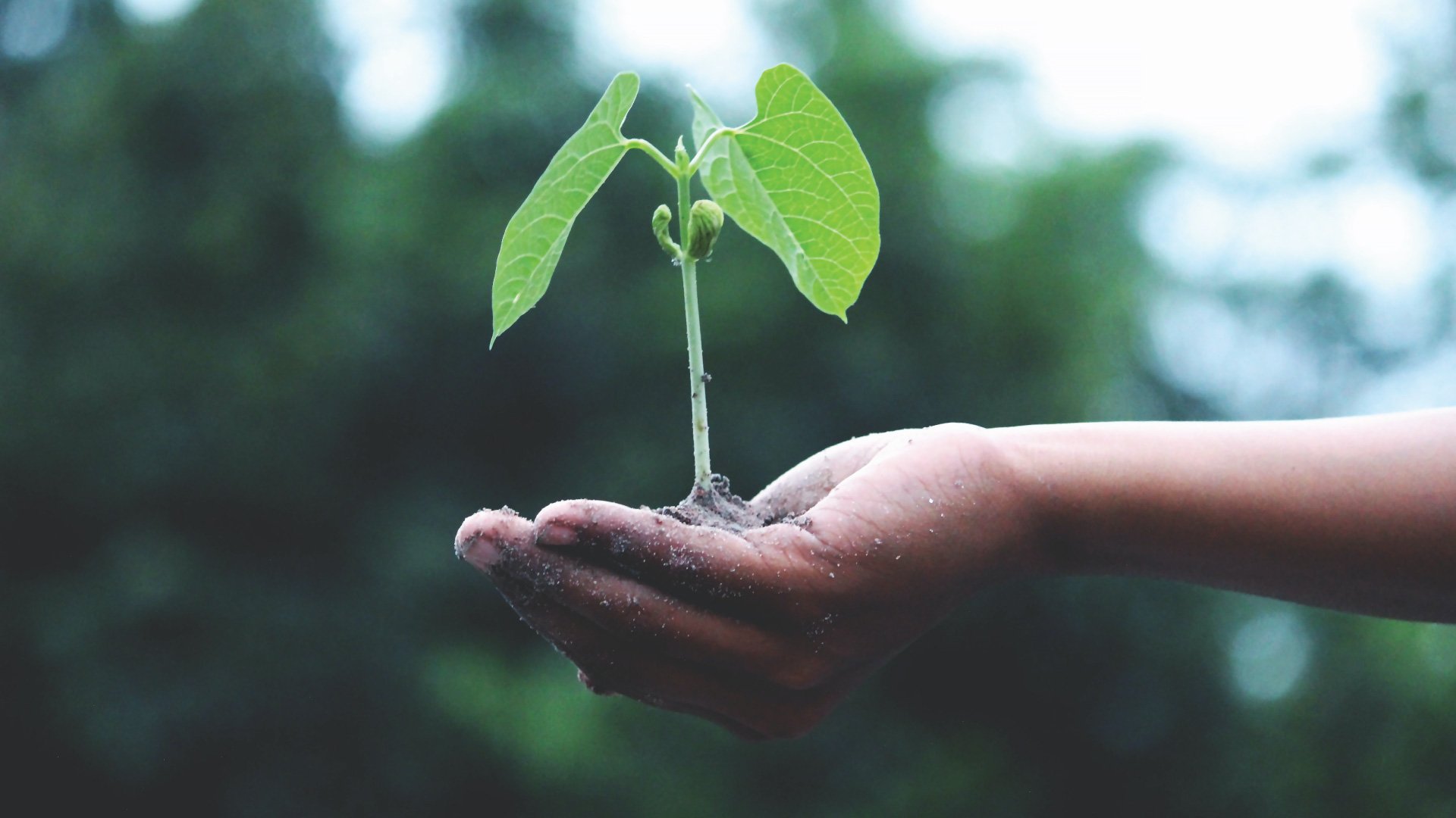 Grow With You